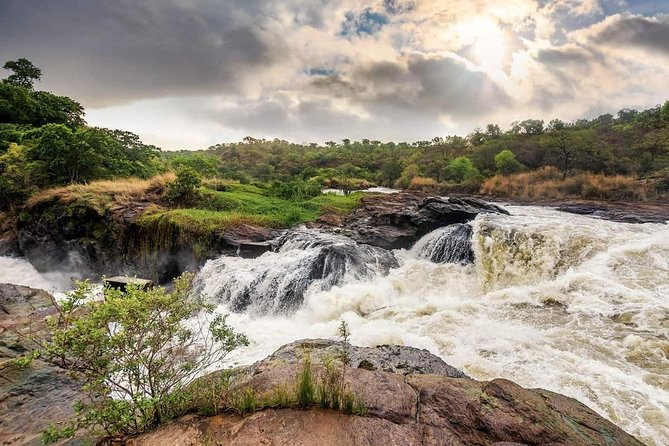 3-Day Mind Refreshing in Murchison Falls National Park - Day 2: Game drives in the northern sector