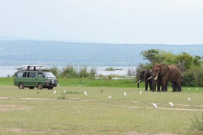 3 Day Murchison Falls' BIG 5 and Wildlife viewing Safari - Who should book this Murchison Falls trip?