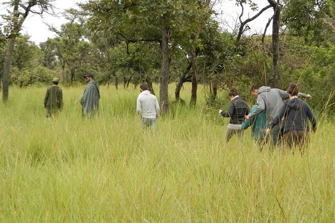 3-Day Murchison Falls National Park - Adventure Safari - What the $1,580 price really covers
