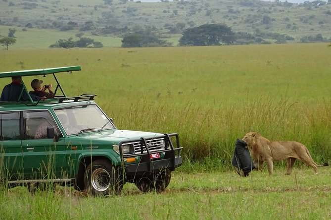 3-Day Murchison Falls National Park - Adventure Safari - Comfort, transport, and the private format