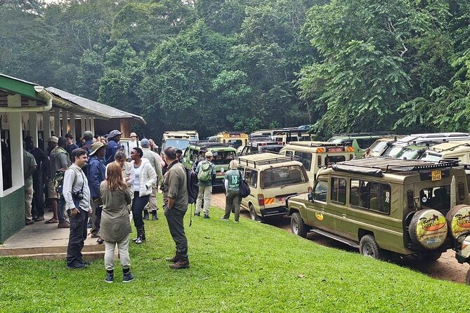 3-Day Private Guided Gorilla Trekking In Uganda - Day 2: The gorilla trek is the heart of the trip