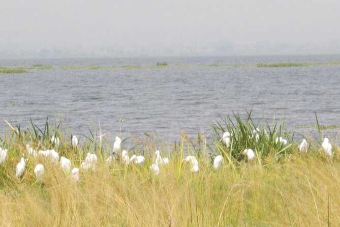 3-Day Queen Elizabeth safari - Should you book the three-day Queen Elizabeth safari?