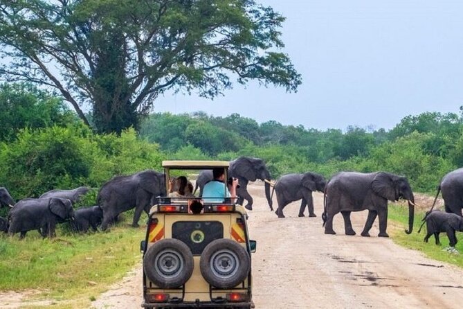 3-Day Safari in Queen Elizabeth National Park Uganda from Kampala - Why Queen Elizabeth National Park works for a short safari