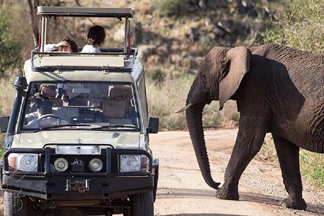 3-Day Safari in Queen Elizabeth National Park Uganda from Kampala - What to pack and what to confirm