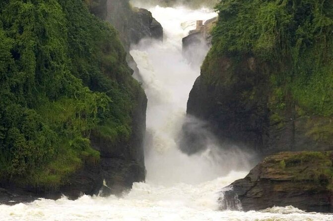 3-Day Tour in Murchison Falls Safari & Rhino Tracking - Booking Advice Before You Pay