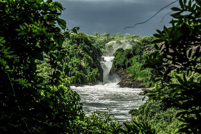 3-Day Tour in Murchison Falls Safari & Rhino Tracking - The Boat Cruise Below the Falls
