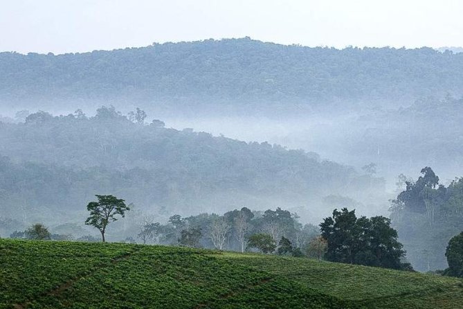 3-Day Tour to Uganda - Gorilla Trekking Bwindi Forest - Day 1: From Kampala to the Equator and Bwindi
