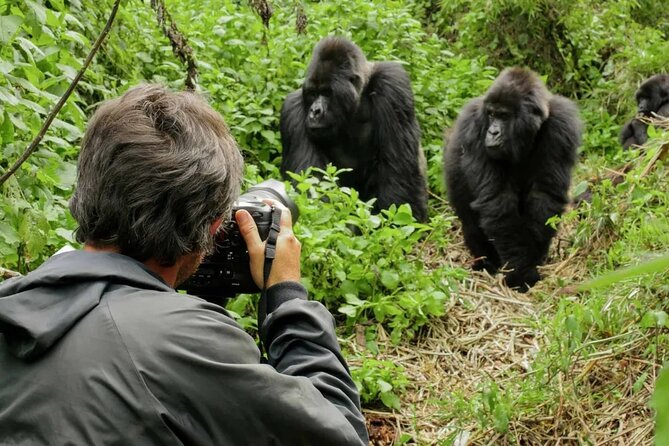 3 Day Uganda Gorilla Trekking and Batwa Pygmies Experience - The Batwa question you should ask directly