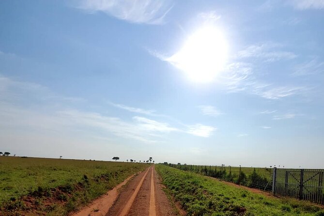 3 Days 2 Nights, Murchison Falls And Wildlife Safari - What the private format changes