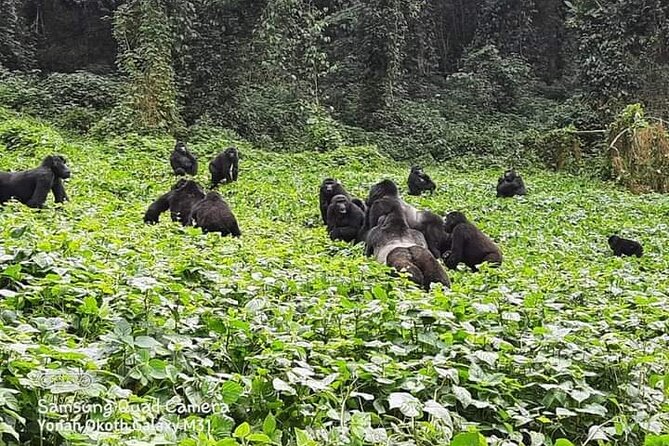 3 Days Best of Queen Elizabeth National Park Wildlife Tour - Who will enjoy this three-day route