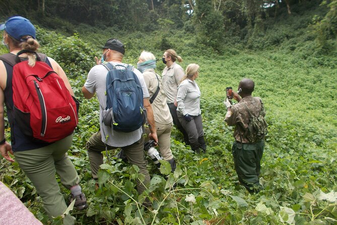 3 Days Bwindi Gorilla Trekking tour - Private travel, solo bookings, and group comfort