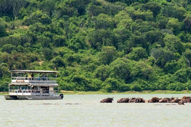 3 Days gorilla trekking Safari tour in Uganda - Why this three-day Uganda safari is so popular
