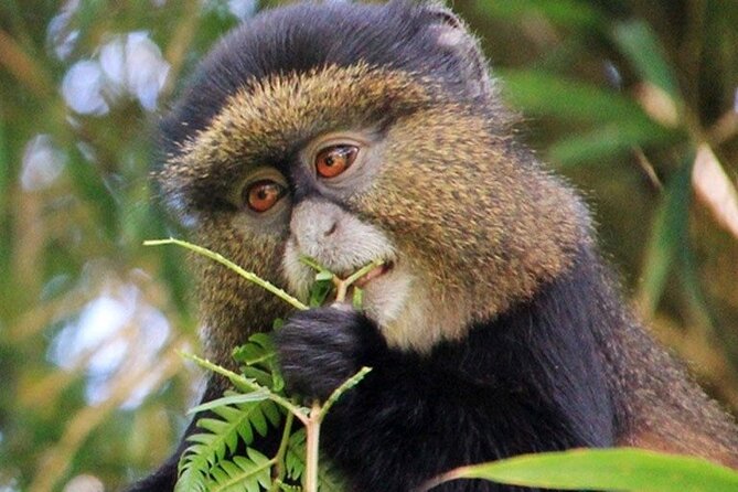 3 Days gorilla trekking Safari tour in Uganda - Lake Bunyonyi adds a gentler second note