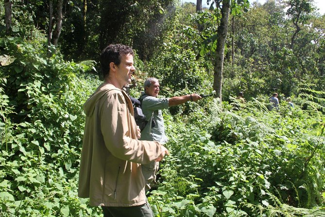 3 Days Gorilla trekking tour - What the $2,300 price really covers
