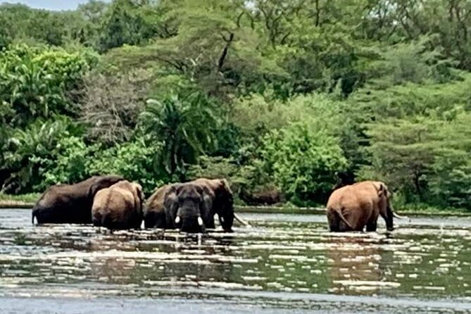 3 Days magical Murchison falls safari - The three-hour boat cruise to the base of Murchison Falls