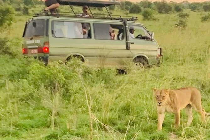 3 Days magical Murchison falls safari - The main drawbacks to consider