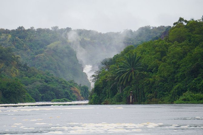 3 Days Murchison Falls Adventure Wildlife Safari Uganda Tour - Key points to know before booking
