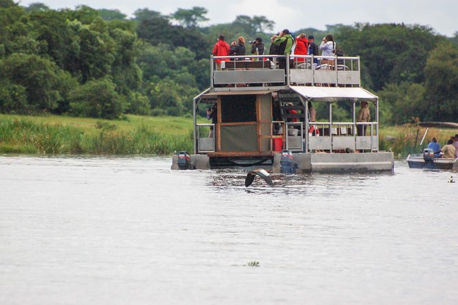 3 days Murchison Falls, Boat cruise and wildlife game viewing - Morning game viewing when animals are stirring