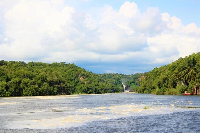 3 Days Murchison Falls National Park Safari & Rhino tracking - The Nile cruise: hippos, crocodiles, and the falls below