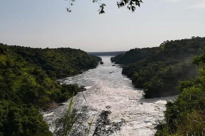 3 Days Murchison Falls National Park Safari & Rhino tracking - What the $990 price covers