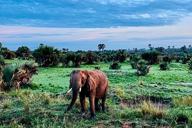 3 Days Murchison Falls National Park Safari & Rhino tracking - Who will enjoy this three-day safari