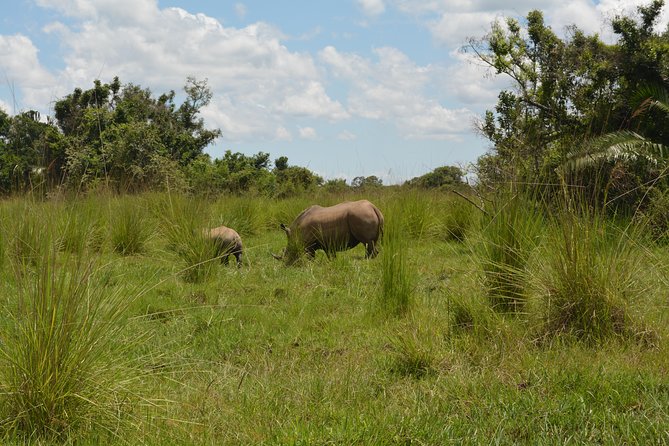 3-Days Murchison Falls Vacation Including Big 5 Sighting! - Guides are the strongest part of the package