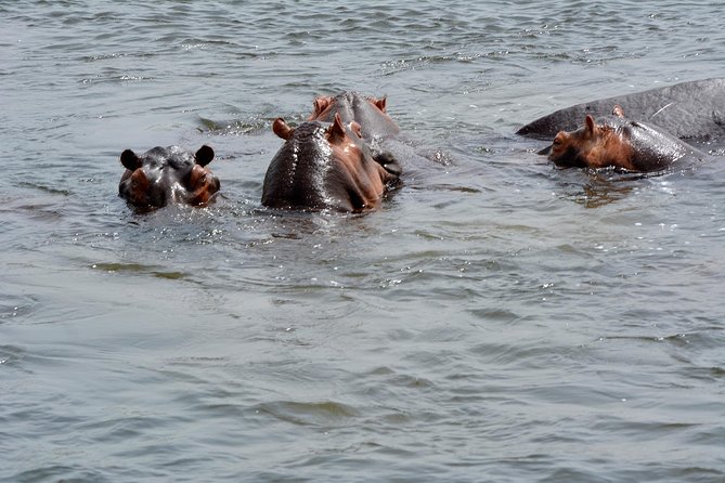 3 Days Murchison Falls Wildlife Safari - What the $2,280 price really covers