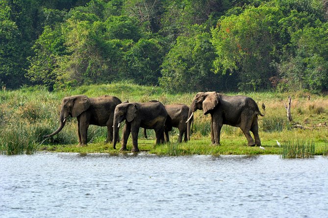 3 Days Murchison Falls Wildlife Safari - Day one: rhinos, the Nile gorge, and a long drive north