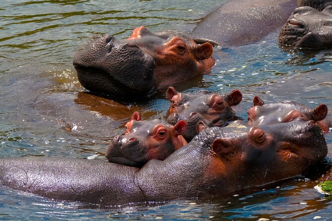 3 Days Private Tour in Murchison Falls National Park - Food, lodging, and the comfort factor