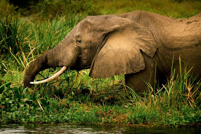 3 Days Private Tour in Murchison Falls National Park - Day one: the long road from Entebbe to the park