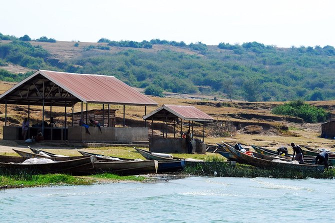 3 days Queen Elizabeth National Park Uganda Safari - The guided chimpanzee walk