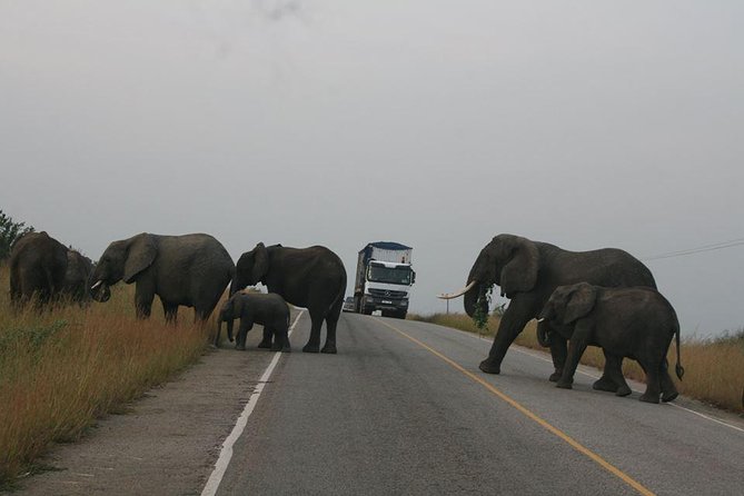3 days Queen Elizabeth National Park Uganda Safari - Who should book this safari?