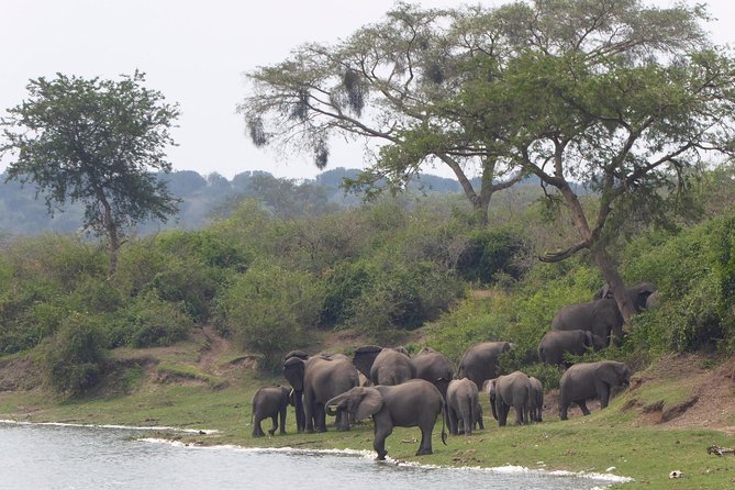 3 days Queen Elizabeth National Park Uganda Safari - The lodge stay and meals between outings