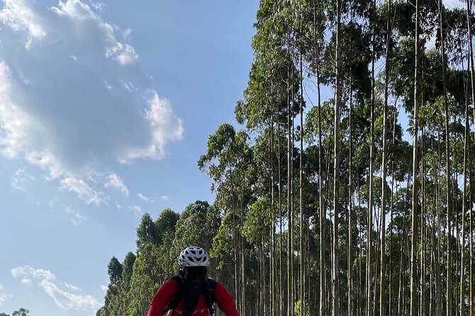 3 Hours Guided Cycling Tour Across Lake Victoria - Who will enjoy this ride most