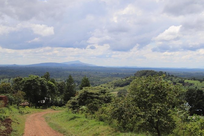 4-Day Gorillas, Wildlife and Chimpanzee Trek at Kalinzu Forest - Guides, communication and the human side of the trip
