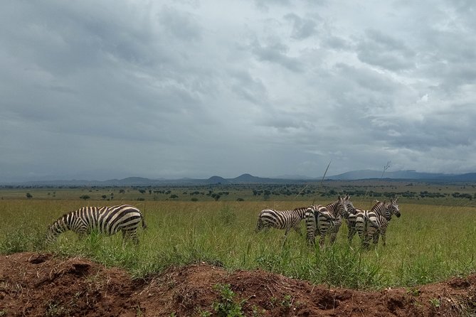 4-Day Kidepo Valley National Park Flight Safari (Luxury) - Is $4,095 per person good value?