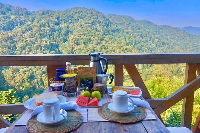 4-Day Private Tour in Bwindi Forest National Park - The long road from Entebbe to Bwindi