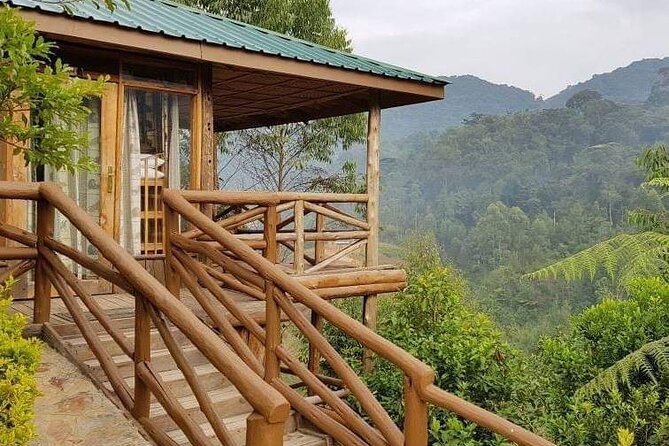 4-Day Private Tour in Bwindi Forest National Park - Booking questions worth asking first