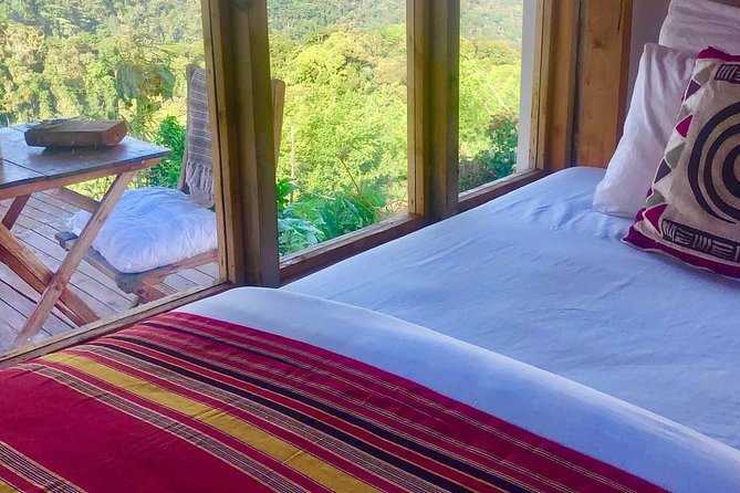 4-Day Private Tour in Bwindi Forest National Park - A community cottage with a forest view