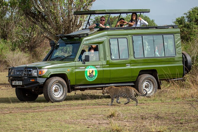 4-Day QENP, Gorillas in Bwindi and Lake Bunyonyi relaxation - Day 3: Lake Mburo, a different kind of safari