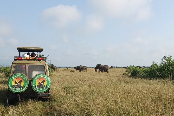 4-Day QENP, Gorillas in Bwindi and Lake Bunyonyi relaxation - Who should book this Uganda safari?