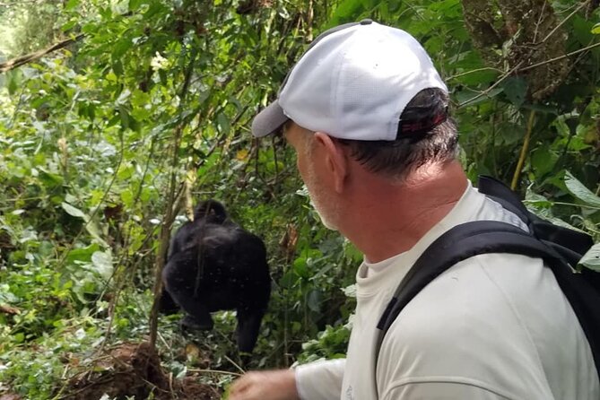 4 Days Gorilla and Chimps trek safari - Day 1: Kampala to Bwindi, with an Equator stop