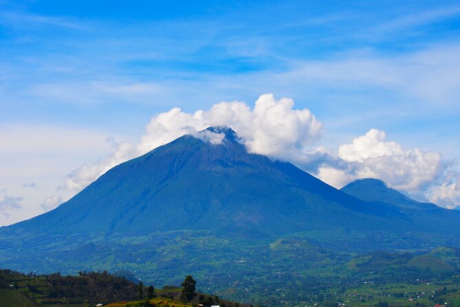4 Days Gorilla tracking Tour in Uganda - From Kigali’s airport to the Katuna border
