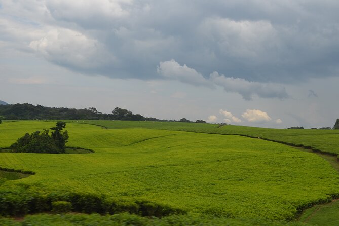 4 Days Gorilla tracking Tour in Uganda - Lake Bunyonyi brings a slower second act