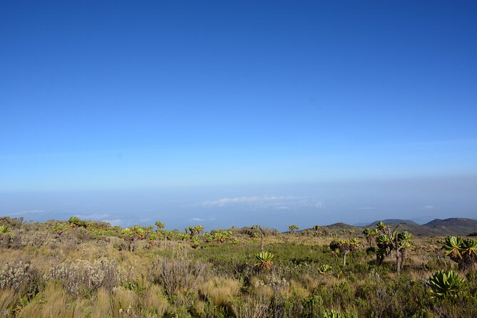 4 Days mount Elgon Trek, 4321m a.s.l - The road from Entebbe to eastern Uganda