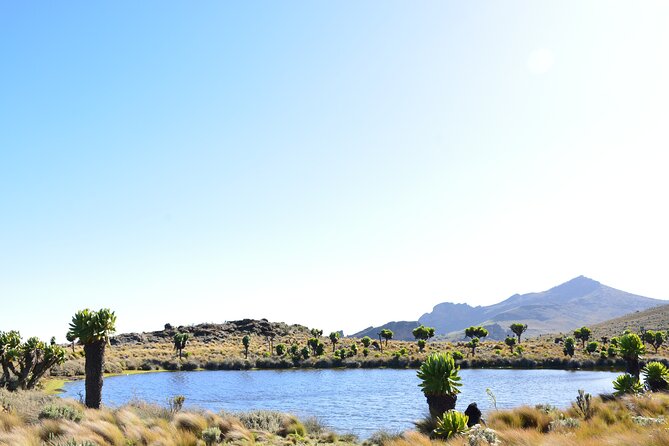 4 Days mount Elgon Trek, 4321m a.s.l - Day 3: The 9-kilometer push to Wagagai Peak