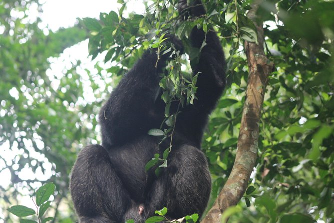 5-Day Big 5 Kidepo valley National Park Safari - Why Kidepo is worth the long road