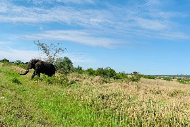 5 days best wildlife experience in Uganda - Day 3: Crater roads and Katwe Salt Lake