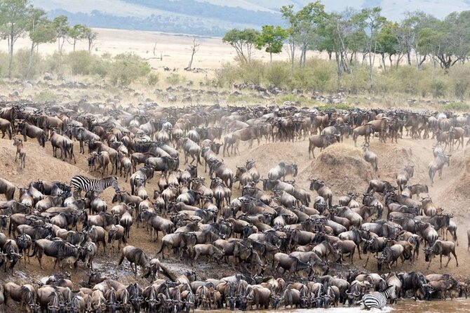 5 Days Uganda Gorillas and Masai Mara Comfort Wildlife Safari - Day 1: The long road to Bwindi