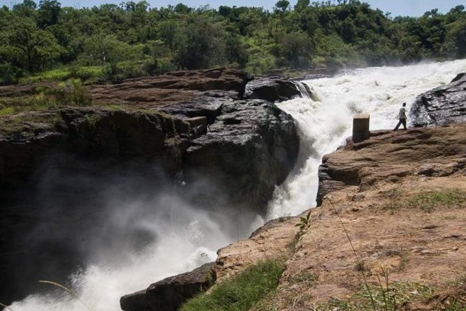 6-Day Murchison Falls and Kidepo NP Wildlife Safari - Key points to know before booking